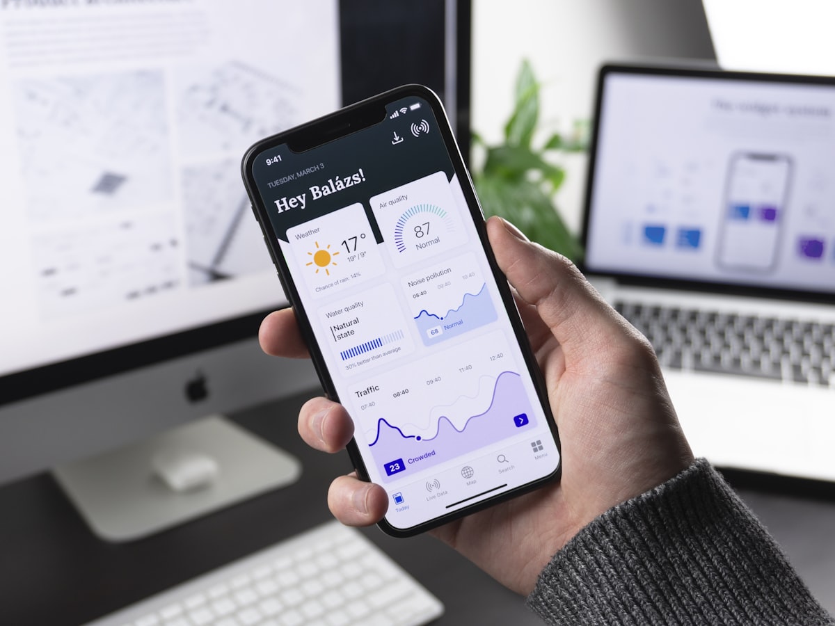 Flutter Developer